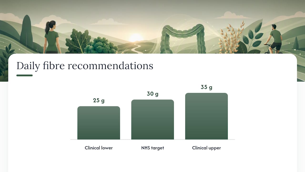 How do you reintroduce fibre safely as symptoms improve? — overview diagram
