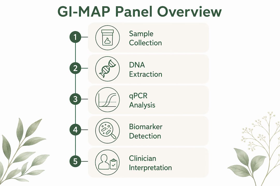 Infographic outlining GI-MAP test process steps