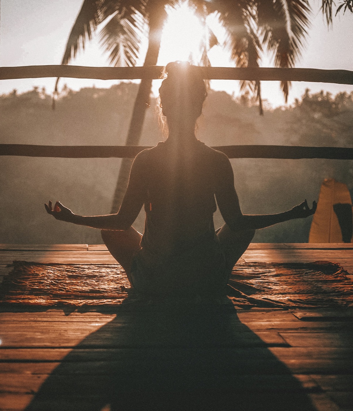 Calm movement and breath indoors, stress regulation and the gut–brain axis
